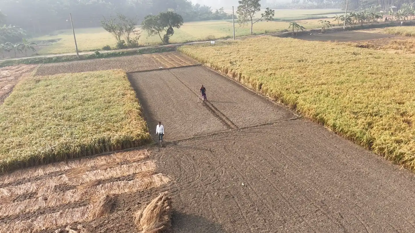 Cultivated plots seen from the air, with farmers working between them
